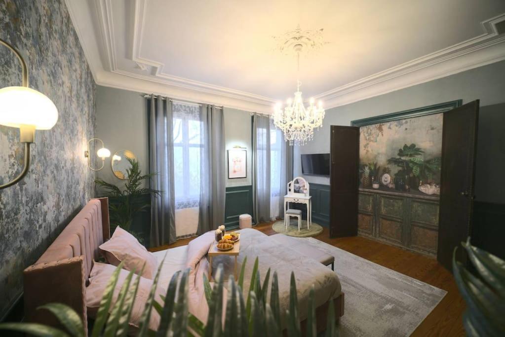 Royal Room Jacuzzi Haut De Gamme Centre Ville Mülhausen Exterior foto